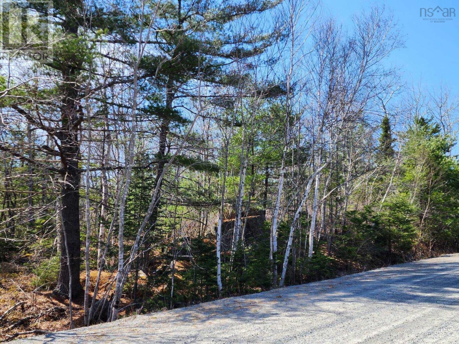 Lot 15 Medway Harbour Road, Mill Village, Nova Scotia  B0J 2H0 - Photo 7 - 202306483