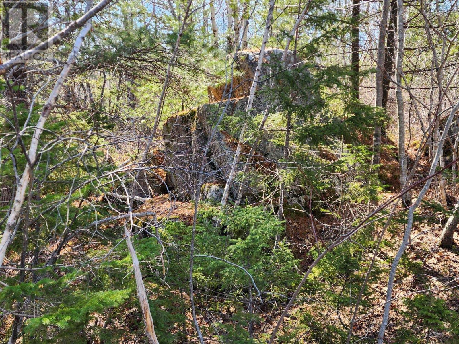 Lot 15 Medway Harbour Road, Mill Village, Nova Scotia  B0J 2H0 - Photo 8 - 202306483