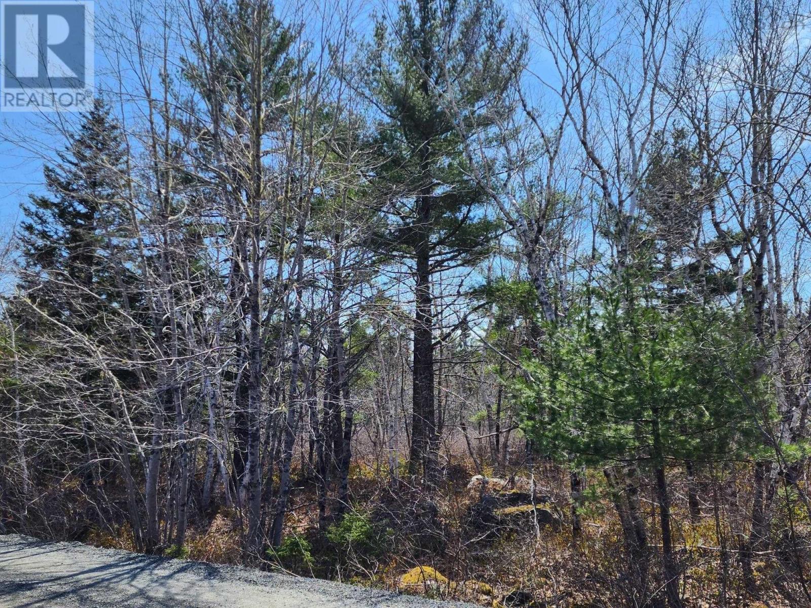 Lot 15 Medway Harbour Road, Mill Village, Nova Scotia  B0J 2H0 - Photo 9 - 202306483