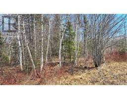 1.28 acres Chemin Four Roads, Four Roads, New Brunswick
