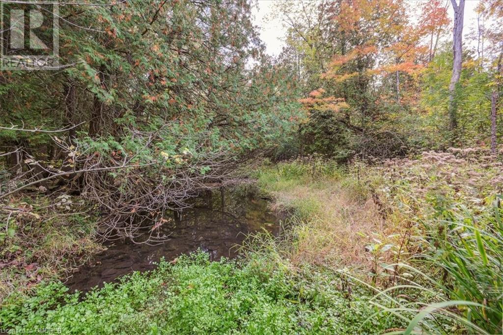 16636 32 Side Road, Halton Hills, Ontario  L7G 0N9 - Photo 38 - 40551331