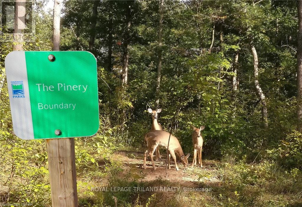 9952 Eric St, Lambton Shores, Ontario  N0M 2N0 - Photo 5 - X8284880