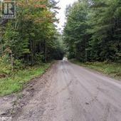 <h3>$240,000</h3><p>0 Axe Lake Road, Sprucedale, Ontario</p>