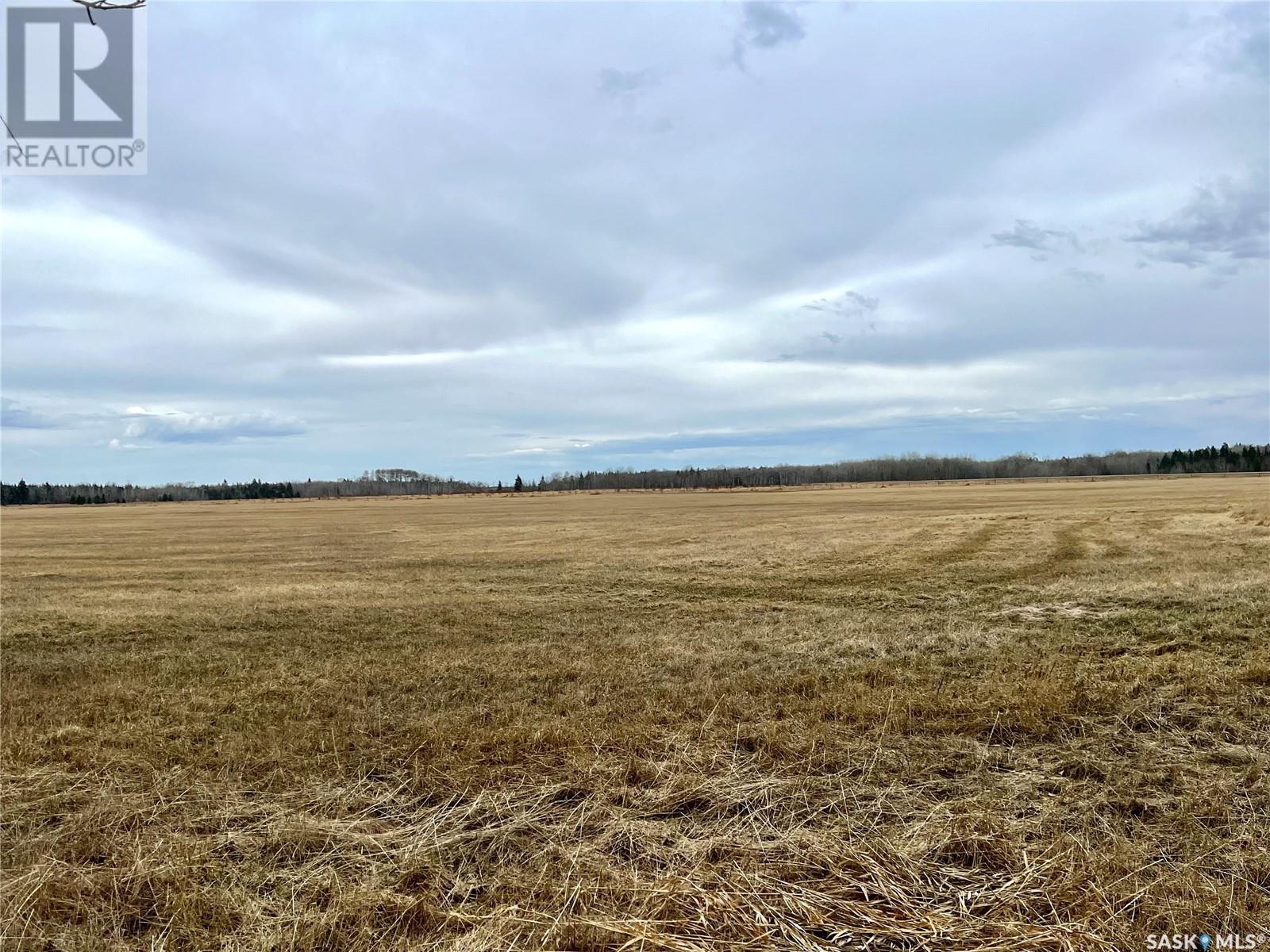 97 Acres Sw Of Meadow Lake, Meadow Lake Rm No.588, Saskatchewan  S9X 1Y1 - Photo 7 - SK966481