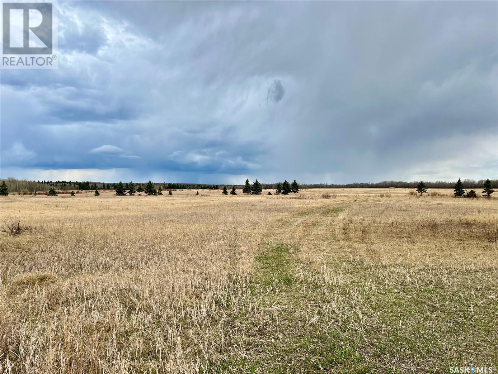 97 Acres Sw Of Meadow Lake, Meadow Lake Rm No.588, Saskatchewan  S9X 1Y1 - Photo 8 - SK966481