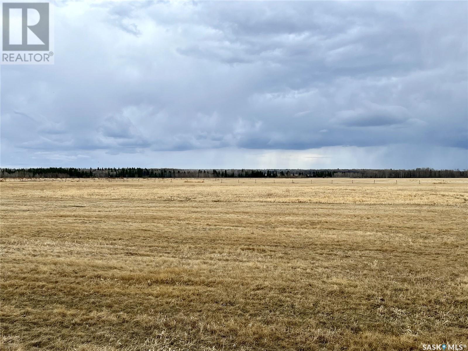 97 Acres Sw Of Meadow Lake, Meadow Lake Rm No.588, Saskatchewan  S9X 1Y1 - Photo 4 - SK966481