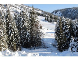 2 20940 SNOWFLAKE CRESCENT, agassiz, British Columbia