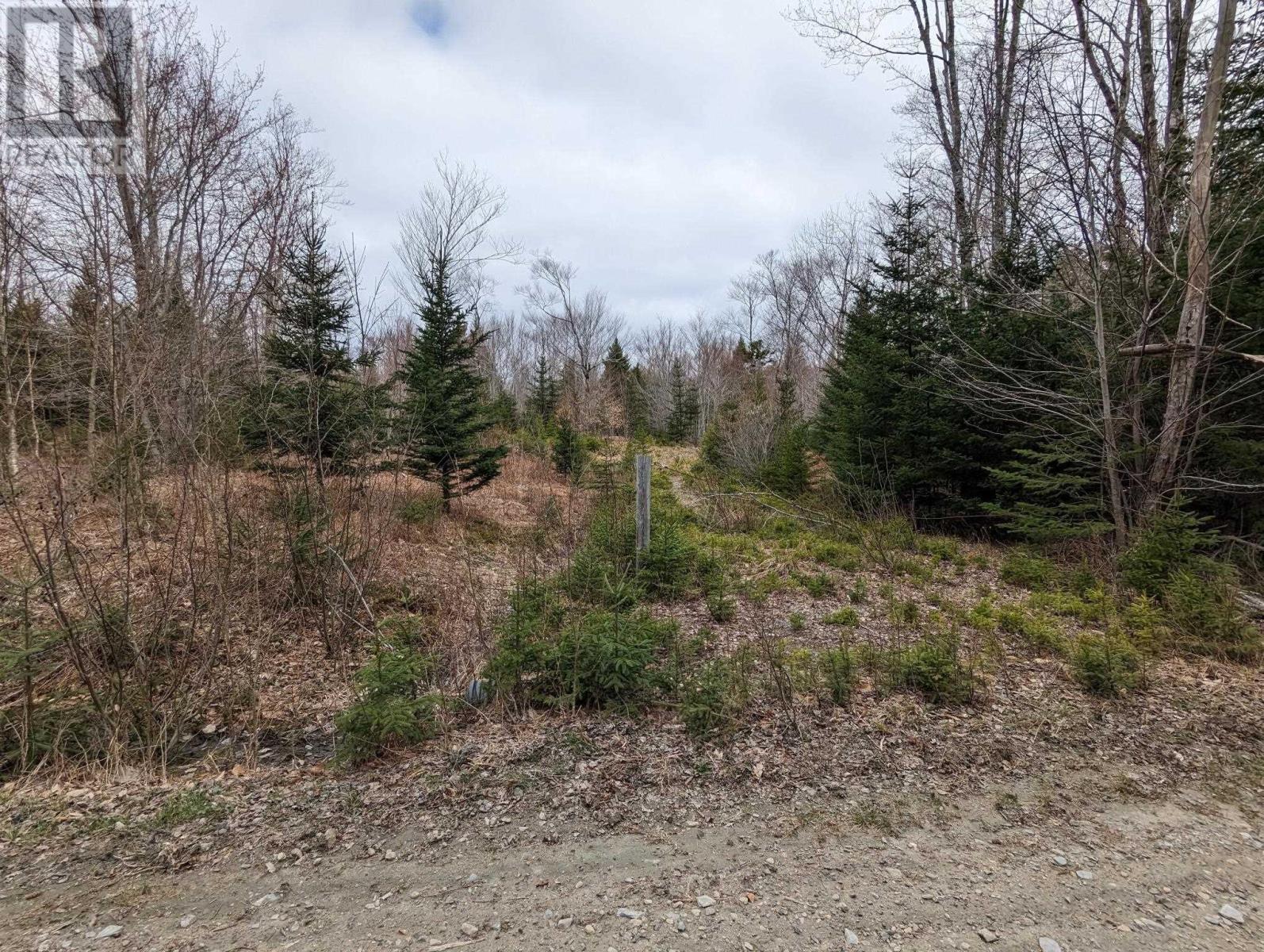 Lot 14 Mink Lake Drive, Carleton, Nova Scotia  B0W 1L0 - Photo 5 - 202408807