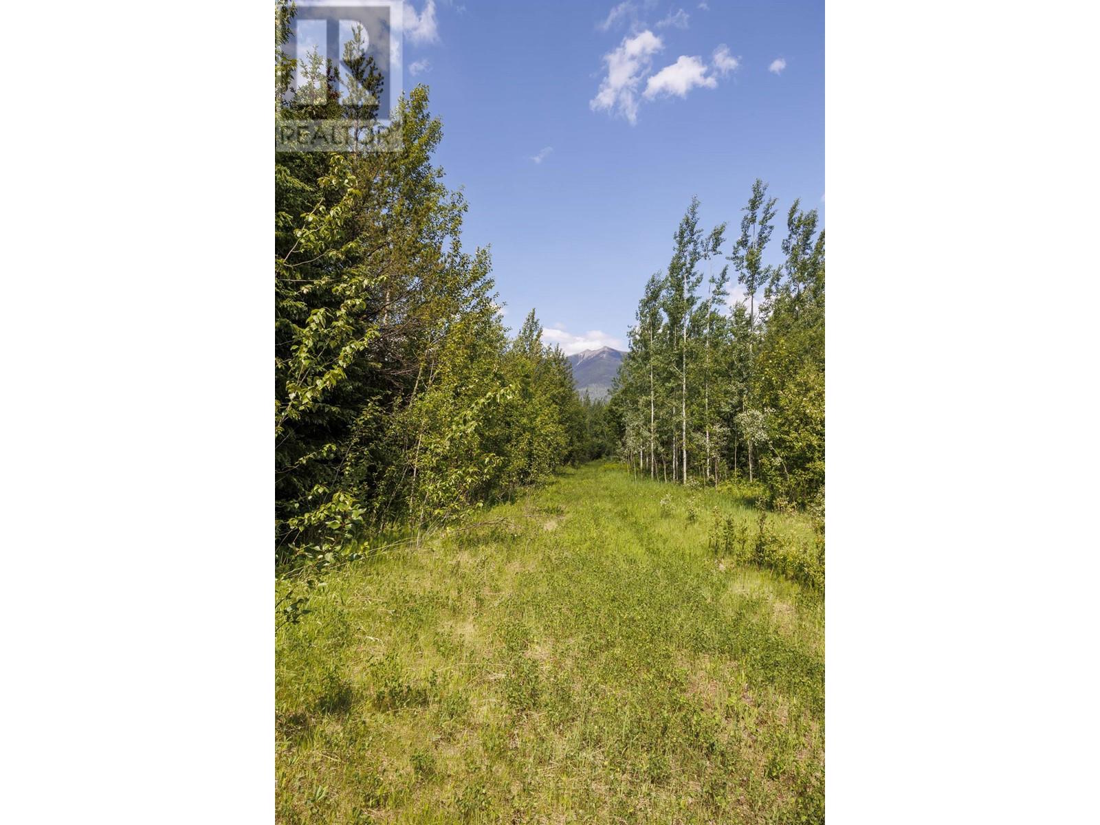 3180 Garrett Road, Mcbride, British Columbia  V0J 2E0 - Photo 13 - R2877177