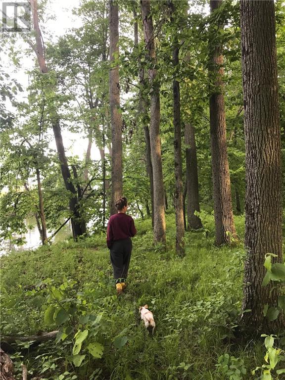 Butternut Island, Beachburg, Ontario  K0J 1C0 - Photo 19 - 1389299