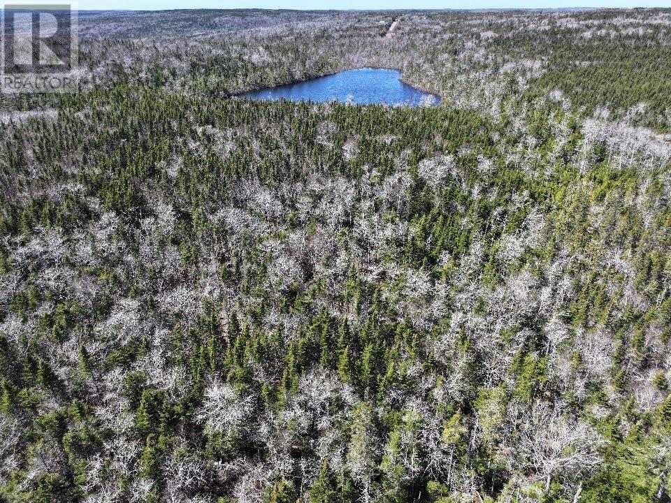 Lot 3 Old Road Hill, Sherbrooke, Nova Scotia  B0J 3C0 - Photo 10 - 202407453