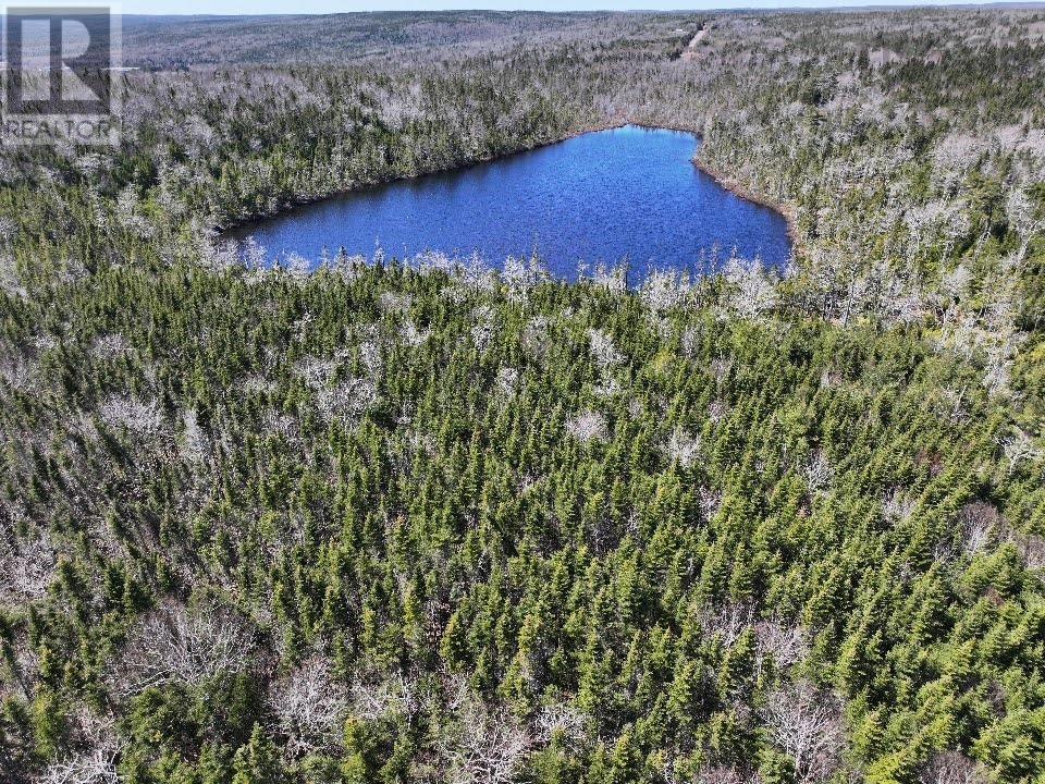 Lot 3 Old Road Hill, Sherbrooke, Nova Scotia  B0J 3C0 - Photo 11 - 202407453