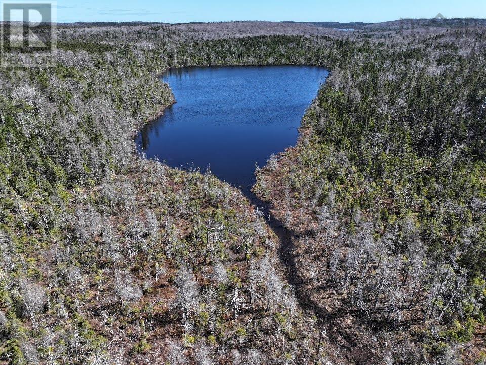 Lot 3 Old Road Hill, Sherbrooke, Nova Scotia  B0J 3C0 - Photo 5 - 202407453