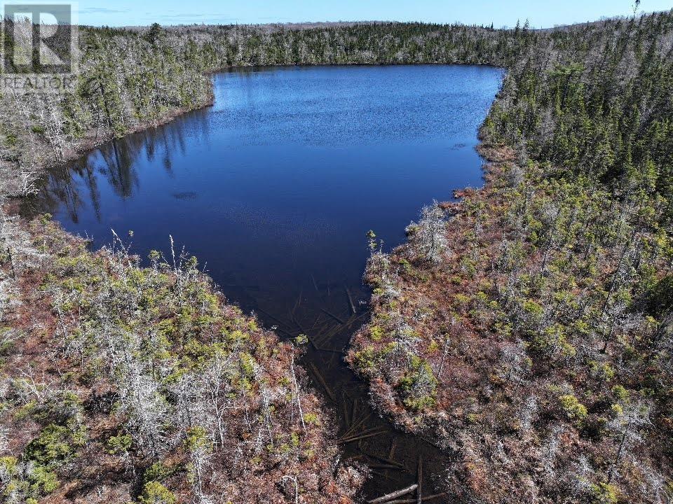 Lot 3 Old Road Hill, Sherbrooke, Nova Scotia  B0J 3C0 - Photo 6 - 202407453