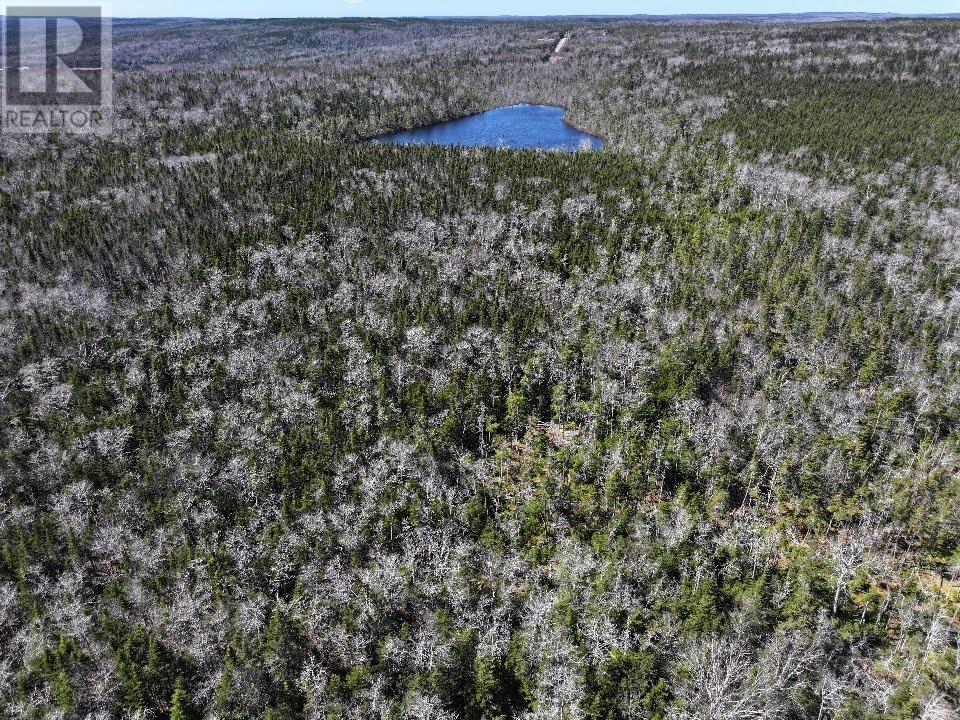 Lot 3 Old Road Hill, Sherbrooke, Nova Scotia  B0J 3C0 - Photo 9 - 202407453