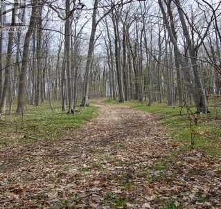 2399 7th Line, Innisfil, Ontario  L9S 4G6 - Photo 11 - N8293144