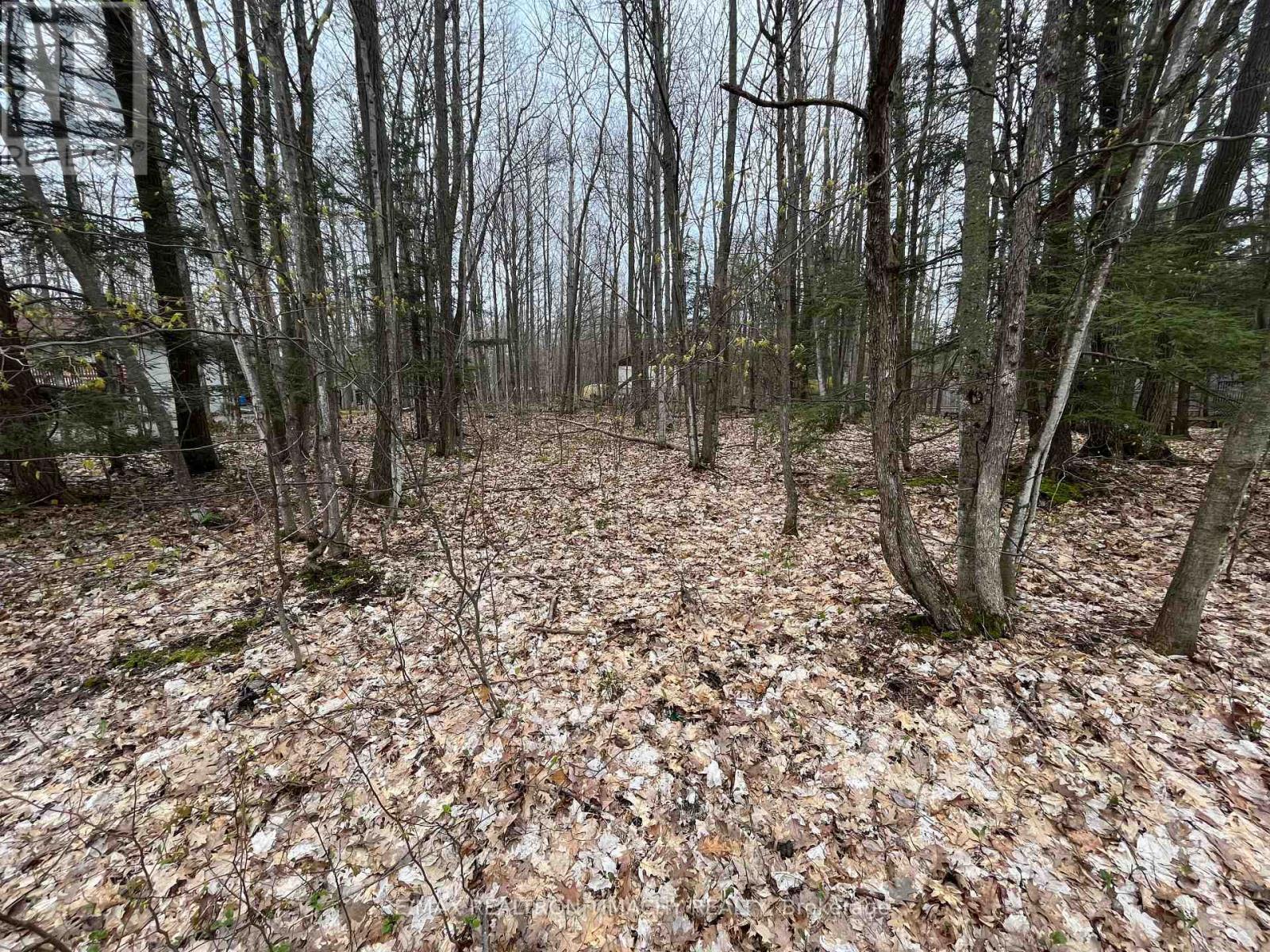 Lot 705 Wolfe Trail, Tiny, Ontario  L9M 1R3 - Photo 1 - S8293370