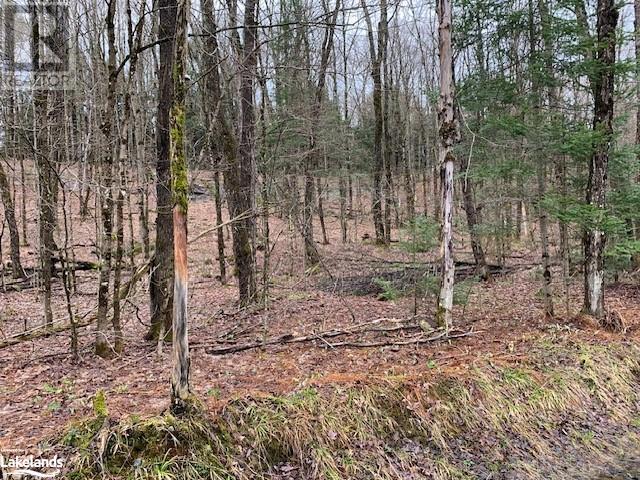 Lot 2 Old Aspdin Road, Huntsville, Ontario  P0B 1M0 - Photo 11 - 40581045