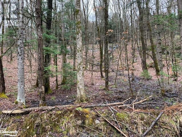 Lot 2 Old Aspdin Road, Huntsville, Ontario  P0B 1M0 - Photo 22 - 40581045