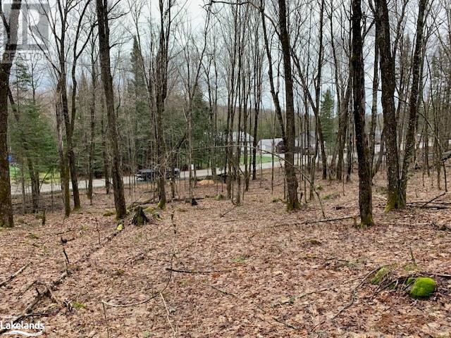 Lot 2 Old Aspdin Road, Huntsville, Ontario  P0B 1M0 - Photo 3 - 40581045