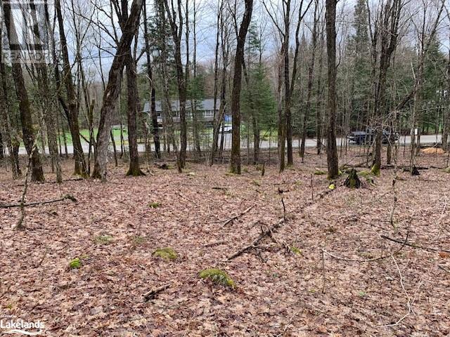 Lot 2 Old Aspdin Road, Huntsville, Ontario  P0B 1M0 - Photo 6 - 40581045