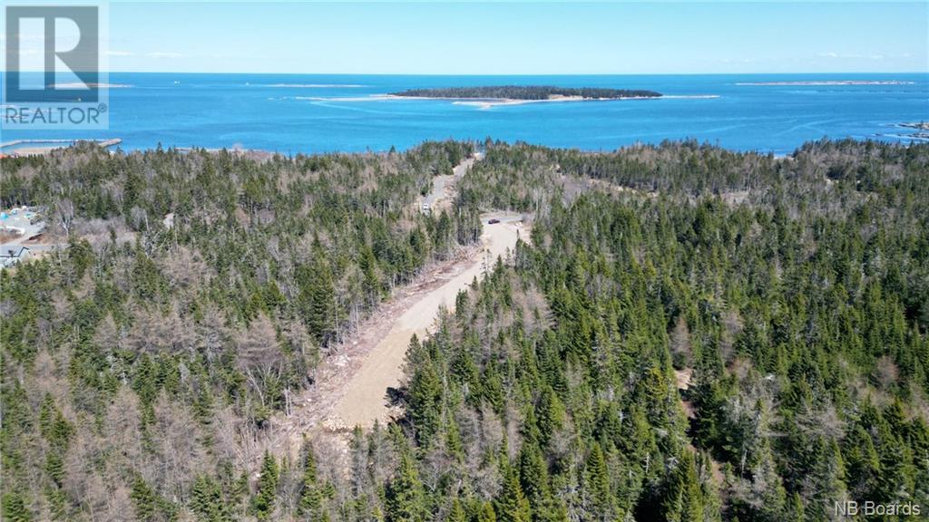 Lot 2 Shore Road, Grand Manan, New Brunswick  E5G 3E6 - Photo 4 - NB098728