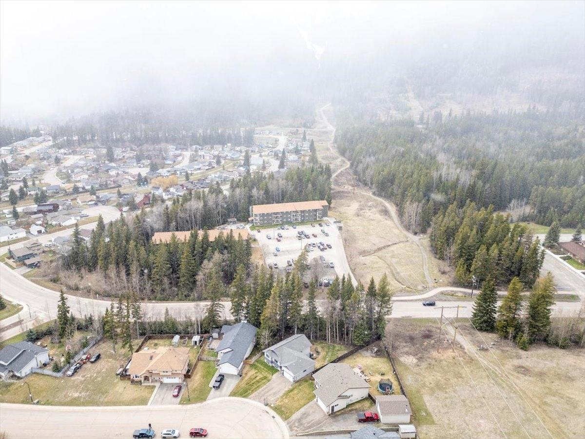 1209 Valley View Drive, Sparwood, British Columbia  V0B 2G2 - Photo 37 - 2476507