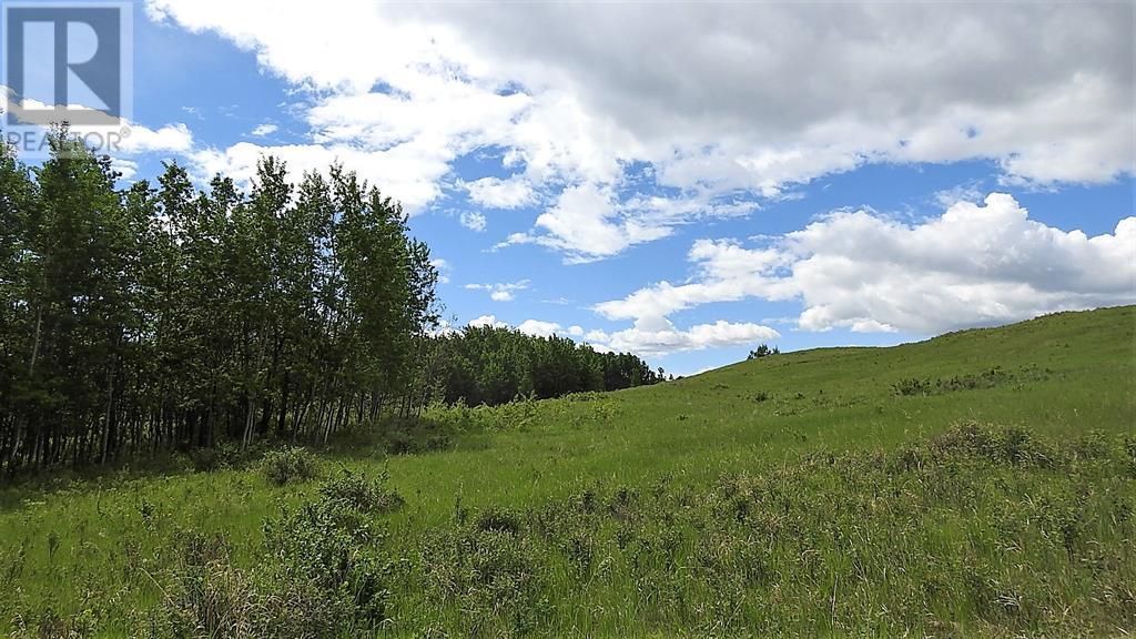 10, 290254 96 Street W, Rural Foothills County, Alberta  T1S 4A9 - Photo 47 - A2127312
