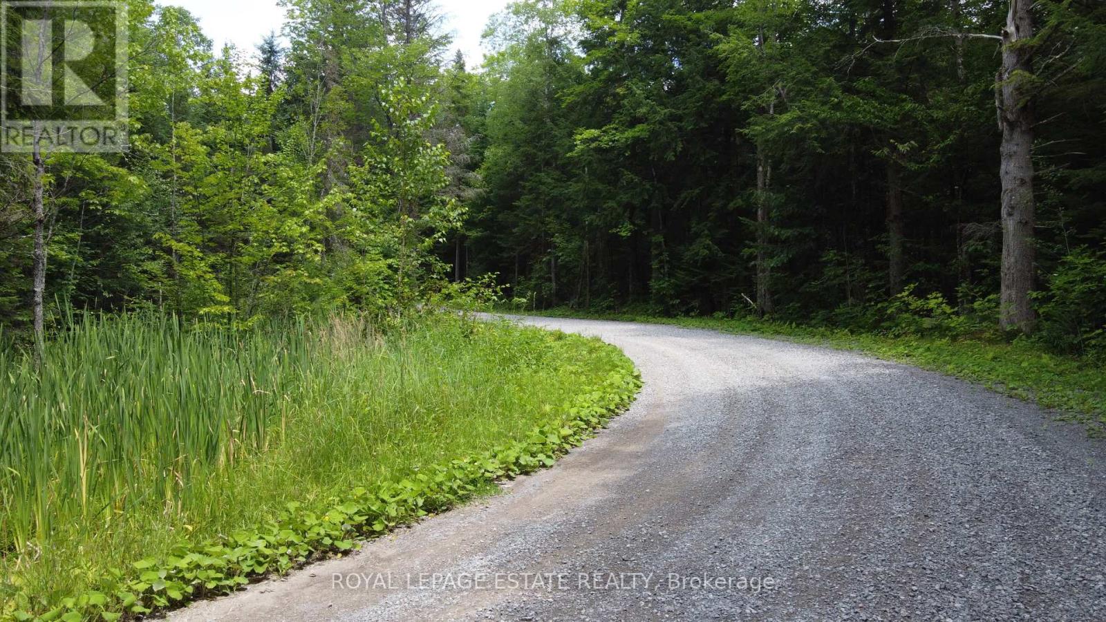 Lot 23/ Lot 24 Ties Mountain Road, Galway-Cavendish And Harvey, Ontario  K0M 1A0 - Photo 13 - X8293446