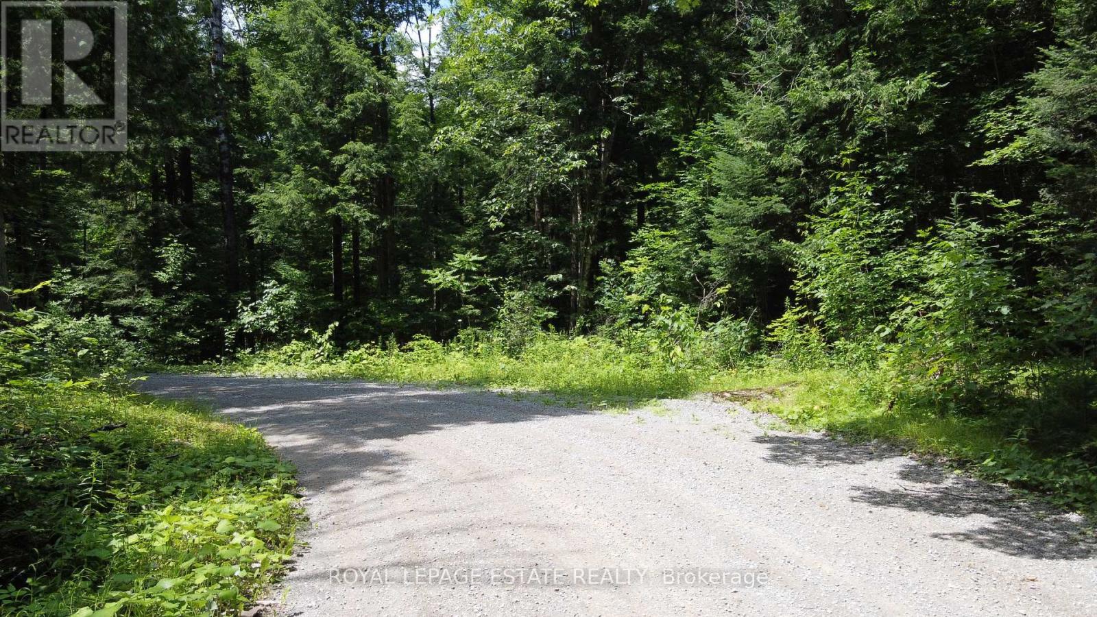 Lot 23/ Lot 24 Ties Mountain Road, Galway-Cavendish And Harvey, Ontario  K0M 1A0 - Photo 15 - X8293446