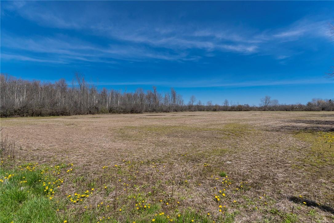 Lot 33 Concession 1, Sherkston Road, Fort Erie, Ontario  L0S 1N0 - Photo 5 - H4192595