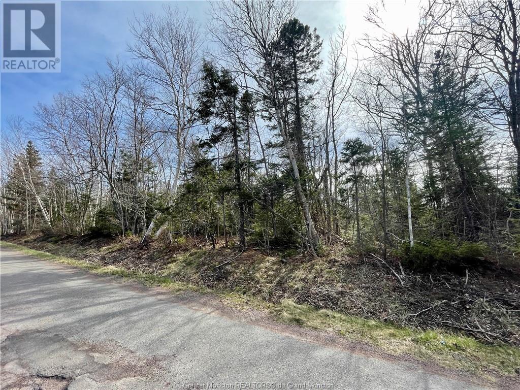 Lots Ch De L'ile Road, Petit-Cap, New Brunswick  E4N 2G6 - Photo 6 - M159040