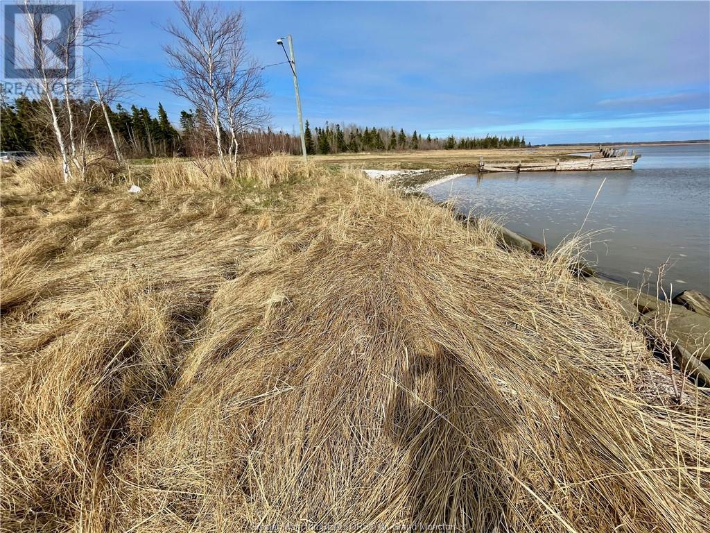 Lots Ch De L'ile Rd, Petit Cap, New Brunswick  E4N 2G6 - Photo 14 - M159040