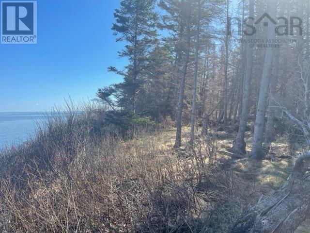 Lot 20 Blue Sea Road, Malagash Point, Nova Scotia  B0K 1E0 - Photo 2 - 202408996