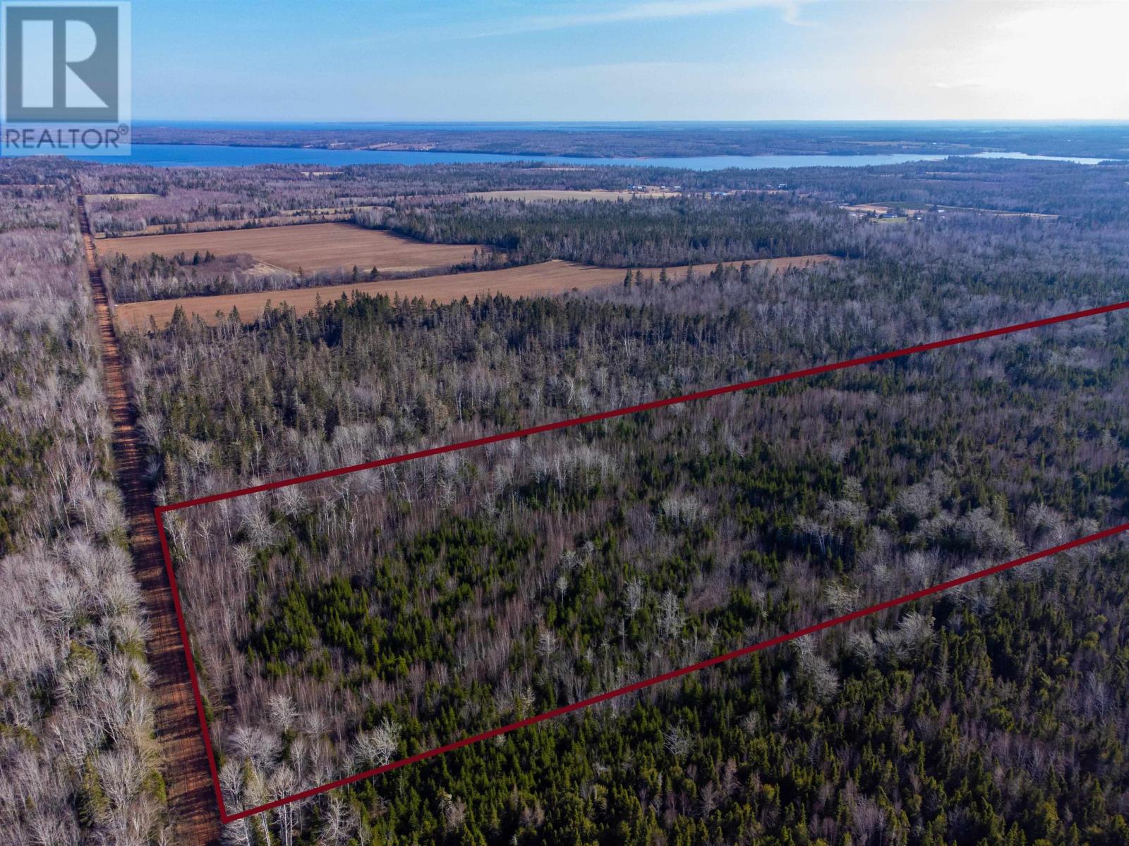 Acreage Line Lot Road, Poplar Point, Prince Edward Island  C0A 1G0 - Photo 4 - 202409013