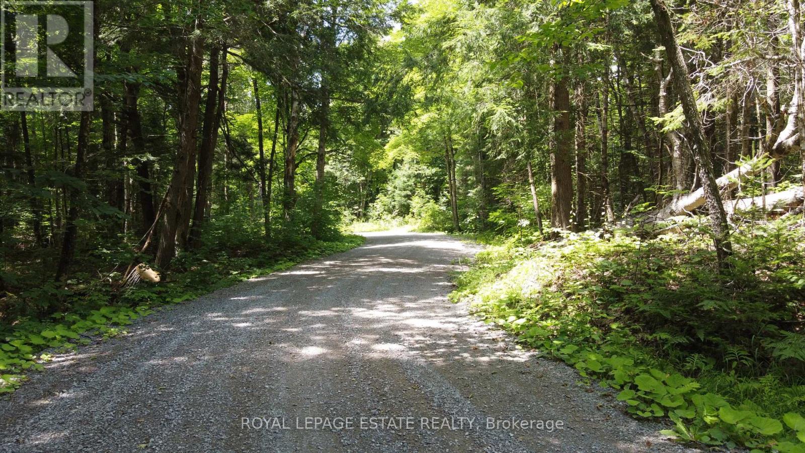 Lot 23/ Lot 24 Ties Mountain Road, Galway-Cavendish And Harvey, Ontario  K0M 1A0 - Photo 14 - X8293446