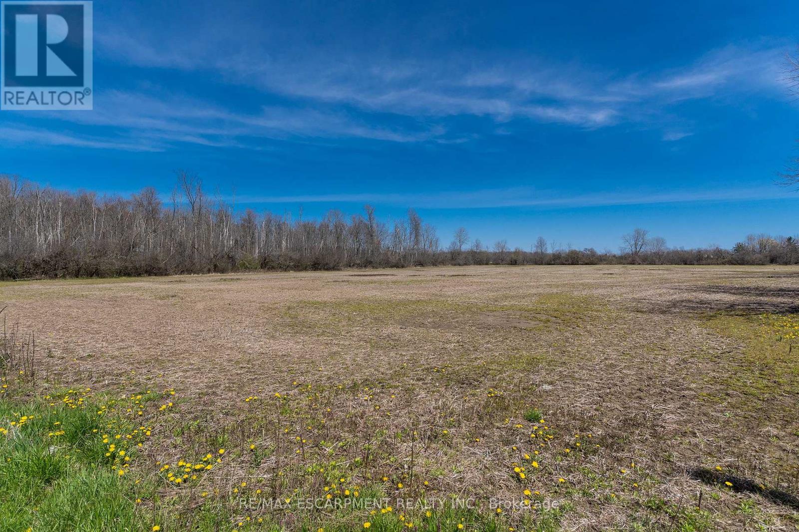 Lot 33 Conc 1 Sherkston Road, Fort Erie, Ontario  L0S 1N0 - Photo 5 - X8295036