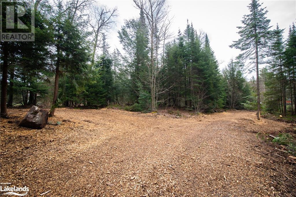 Part Lot 11 Concession 3, Utterson, Ontario  P0B 1J0 - Photo 26 - 40578076