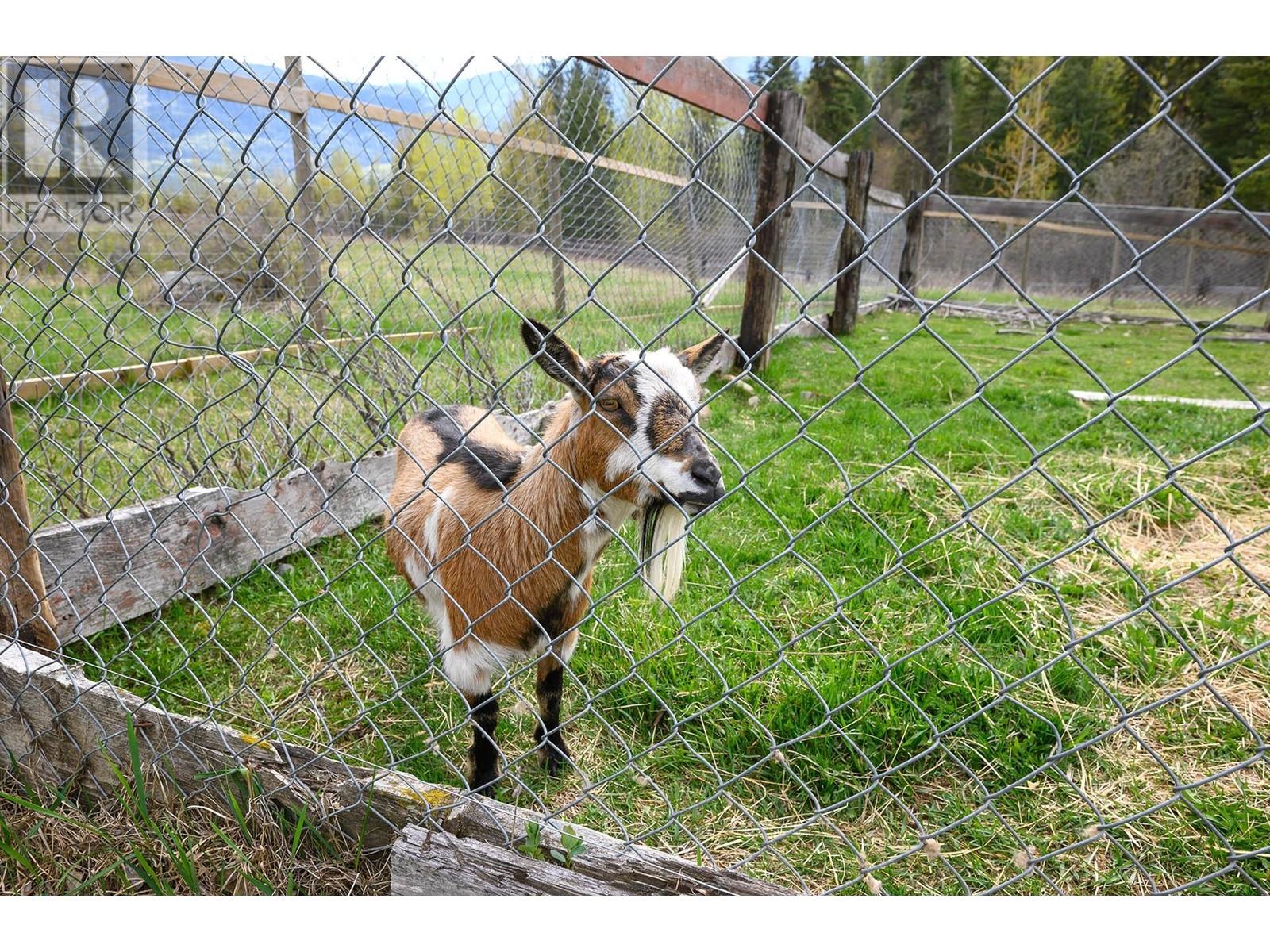 956 Barber Rd, Clearwater, British Columbia  V0E 1N1 - Photo 70 - 178209