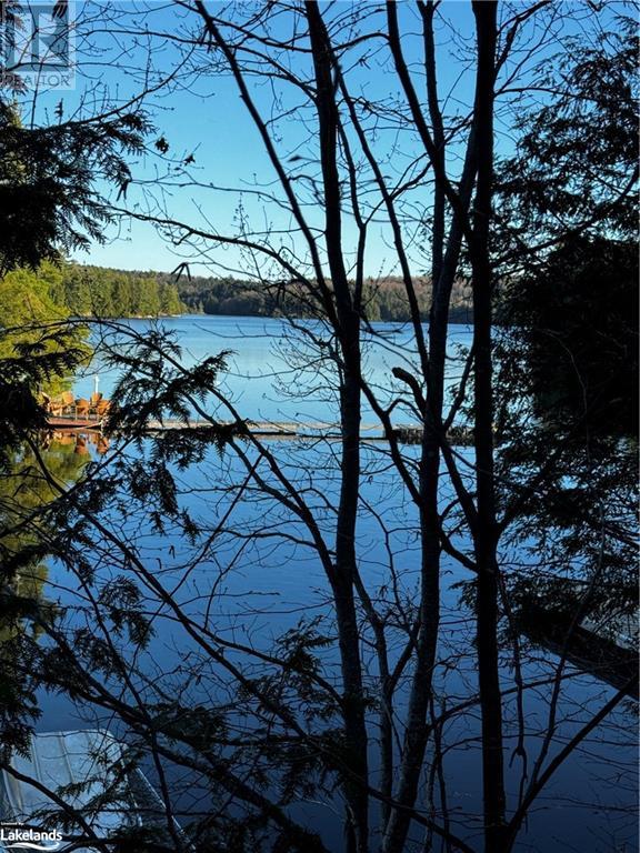 2246 Wilkinson Road, Haliburton, Ontario  K0M 1S0 - Photo 25 - 40576844
