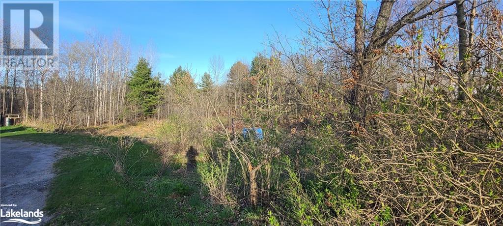 46 Forest Street, Parry Sound, Ontario  P2A 2P9 - Photo 2 - 40582445