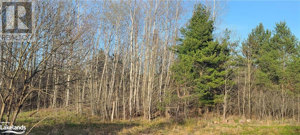 46 Forest Street, Parry Sound, Ontario  P2A 2P9 - Photo 3 - 40582445