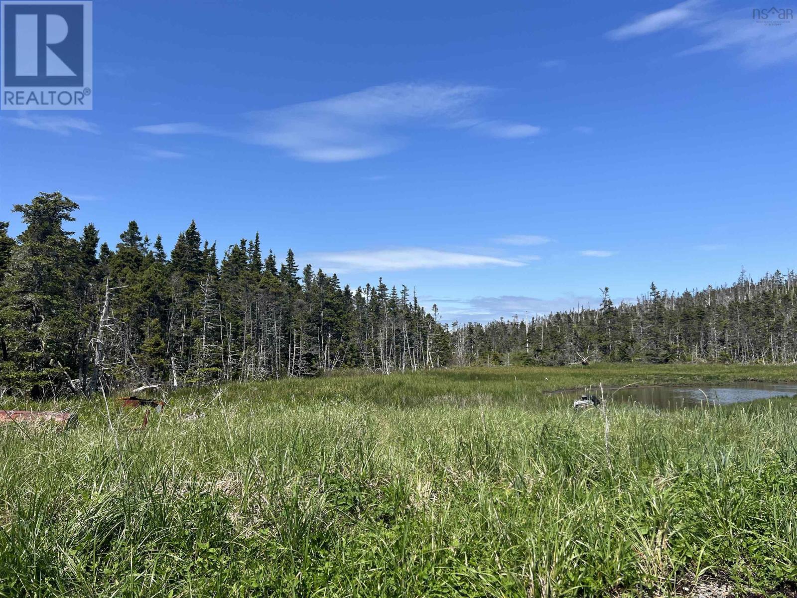 Lot2 316 Highway, Upper Whitehead, Guysborough County, Nova Scotia  B0H 1T0 - Photo 22 - 202408935