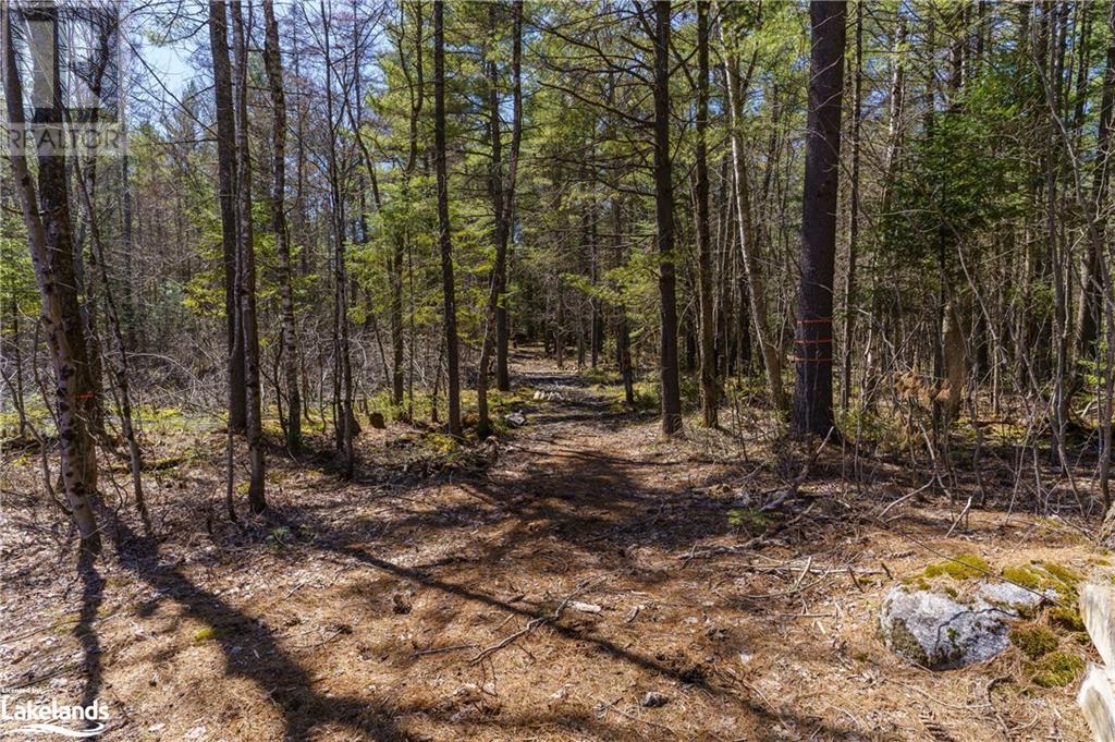 Part Lot 32 Concession 9 Line, Baysville, Ontario  P0A 1B0 - Photo 11 - 40580044