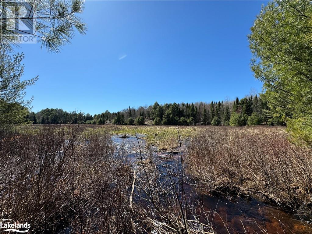 Part Lot 32 Concession 9 Line, Baysville, Ontario  P0A 1B0 - Photo 44 - 40580044