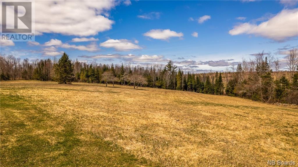 314 Pomeroy Ridge Road, Pomeroy Ridge, New Brunswick  E3L 5M4 - Photo 32 - NB095137