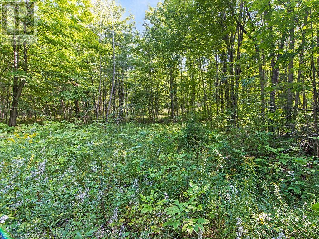 Lot 6 10th Concession, Grey Highlands, Ontario  N0C 1E0 - Photo 10 - 40578714