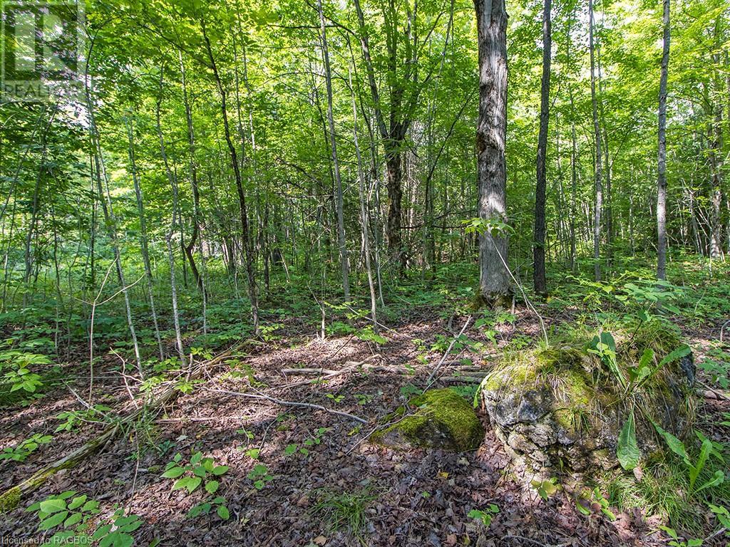 Lot 6 10th Concession, Grey Highlands, Ontario  N0C 1E0 - Photo 11 - 40578714