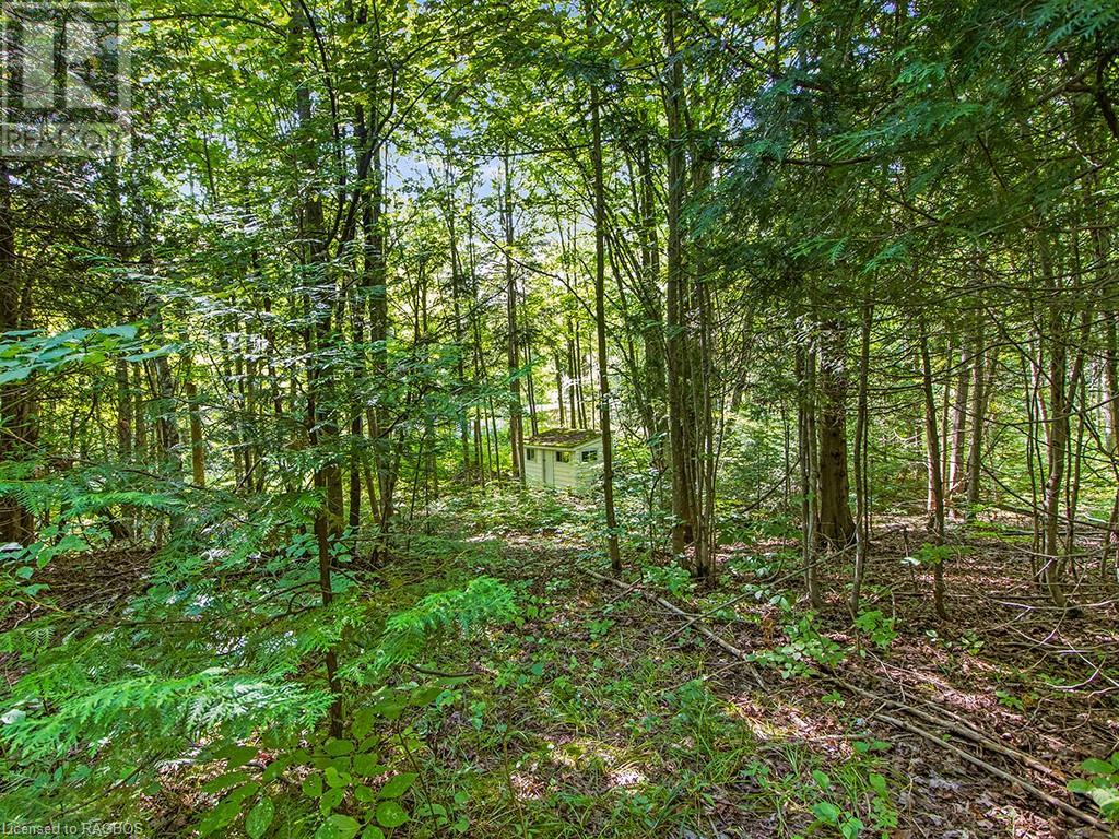 Lot 6 10th Concession, Grey Highlands, Ontario  N0C 1E0 - Photo 12 - 40578714
