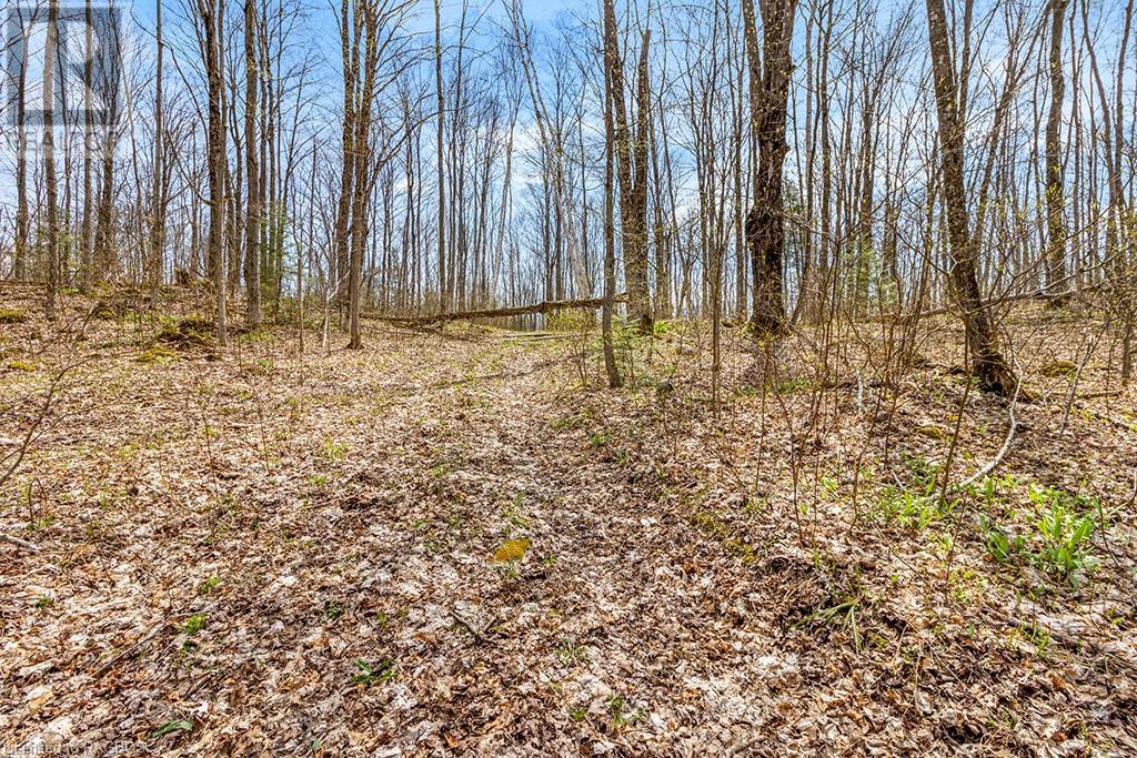 Lot 6 10th Concession, Grey Highlands, Ontario  N0C 1E0 - Photo 20 - 40578714